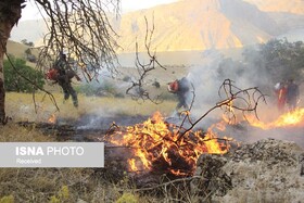 ذخیره‌گاه جنگلی شمس‌آباد طعمه حریق شد