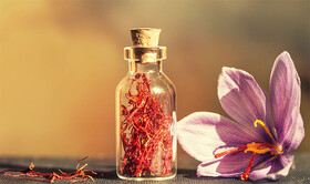 بام ایران پهنه طلای سرخ