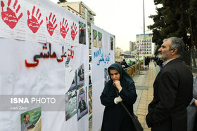۳۳ جایگاه برای تبلیغات انتخاباتی کاندیداها در شهرکرد در نظر گرفته است