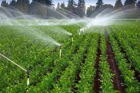 توسعه اراضی کشاورزی اثربخشی سیستم‌های آبیاری نوین را از بین می‌برد