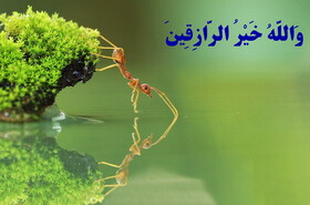 عوامل کاهش‌دهنده رزق در زندگی