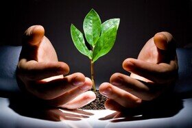 کارآفرینی؛ علاج درد بیکاری 