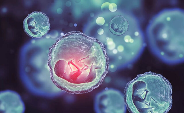 دختران هم میتوانند تخمک فریز کنند