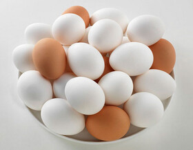 علت متفاوت بودن اندازه تخم‌مرغ‌ها چیست؟