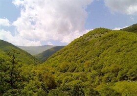 مشاهده پروانه سفید برگخوار بلوط زاگرس در اراضی جنگلی چها