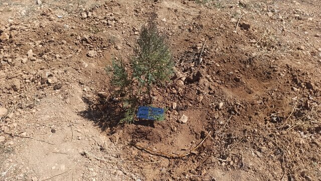 شناسایی ۸۹۰ گونه گون در کشور