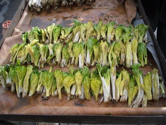 چشیدن طعمی متفاوت با سوغات چهارمحال و بختیاری