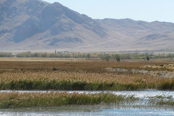 تالابهای چهارمحالوبختیاری؛ جاذبههای منحصر بفرد