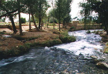 خنکای هوا در کنار چشمههای خروشان را در چهارمحال وبختیاری تجربه کنید