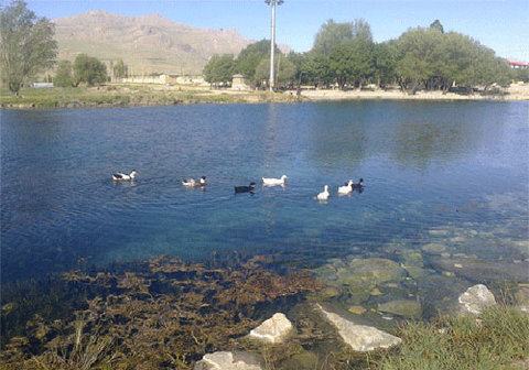 خنکای هوا در کنار چشمههای خروشان را در چهارمحال وبختیاری تجربه کنید