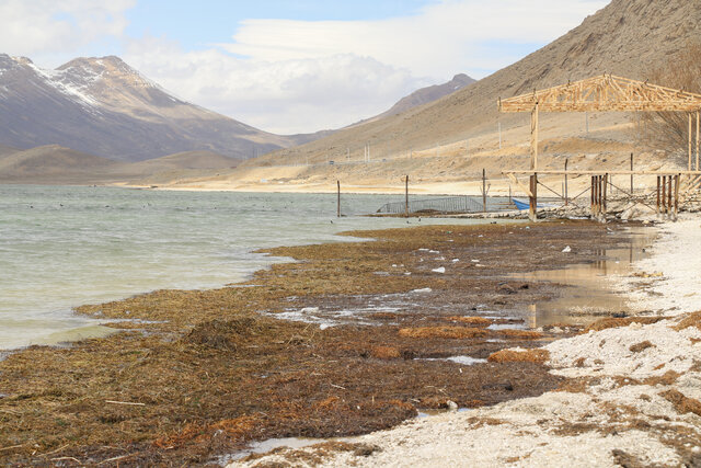 تالاب بینالمللی چغاخور