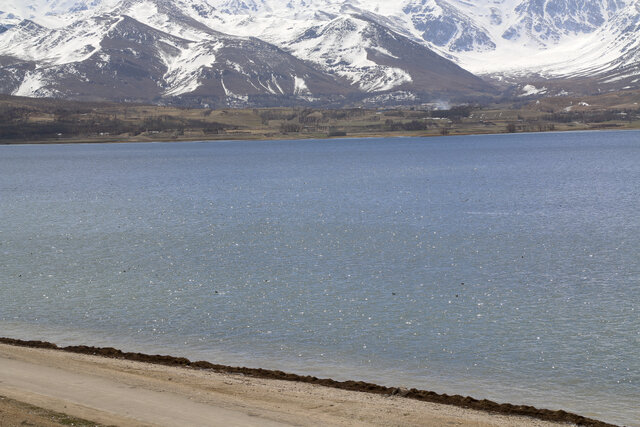 تالاب بینالمللی چغاخور