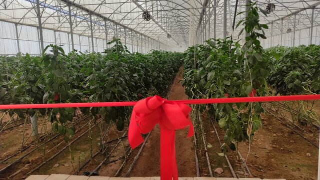 بهرهبرداری از ۶ پروژه بخش کشاورزی در شهرستان خانمیرزا