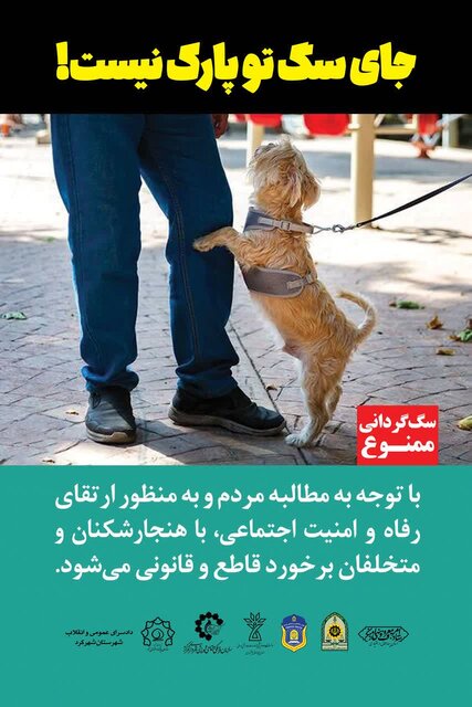 سگگردانی؛ نمایشی از جنس خودنمایی در سایه نبود قوانین صریح