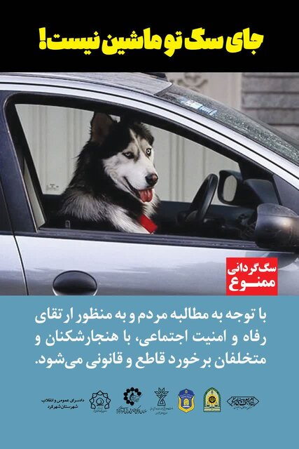 سگگردانی؛ نمایشی از جنس خودنمایی در سایه نبود قوانین صریح