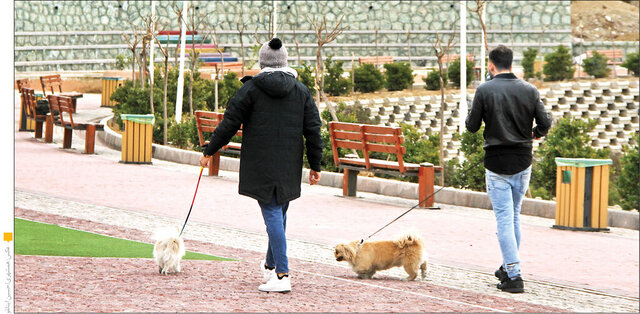 سگگردانی؛ نمایشی از جنس خودنمایی در سایه نبود قوانین صریح