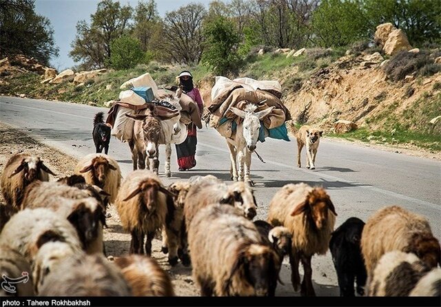تخصیص ۱۴ میلیارد تومان اعتبار برای بازگشایی ایلراههای عشایری چهارمحال و بختیاری