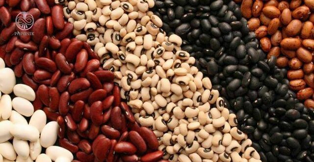 گامهای نوین کشاورزی برای افزایش تولید حبوبات با مصرف کمتر آب