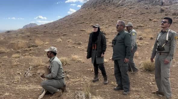 محیطبانان، قلب تپنده مناطق حفاظت شده