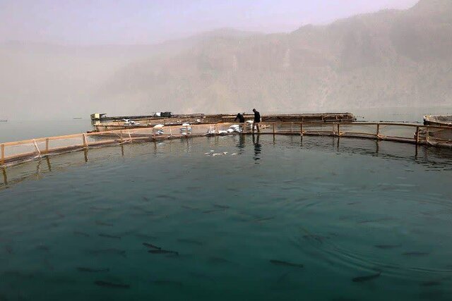 طوفان به قفسهای پرورش ماهی در سد کارون ۴ خسارت وارد کرد طوفان به قفسهای پرورش ماهی در سد کارون ۴ خسارت وارد کرد