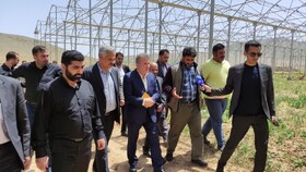 دولت برای حل مشکلات شهرستان اردل تلاش کند