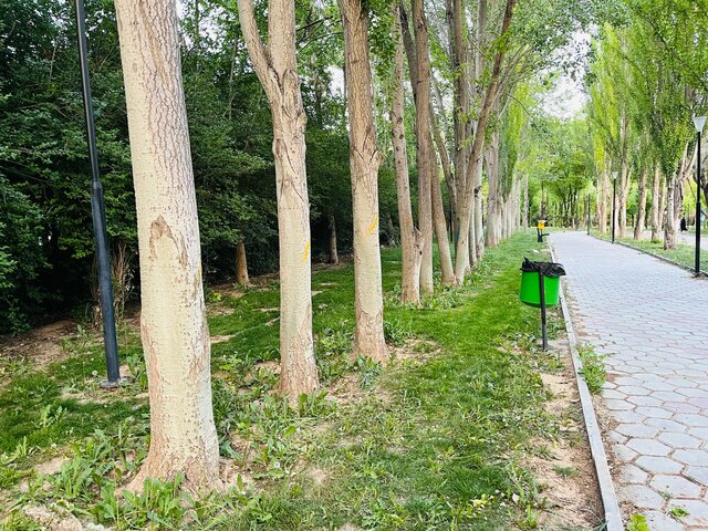 تغییر چهره پارک بانوان شهرکرد؛ سختگیری یا ضرورت؟