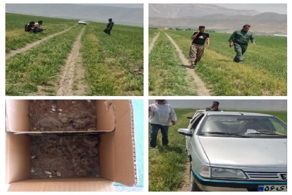 دستگیری دو متخلف حرفه‌ای صید در شهرستان خانمیرزا