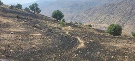 مهار آتش‌سوزی در منطقه حفاظت‌شده سبزکوه 