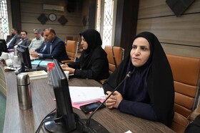 دستگاه‌های اجرایی موظف به انجام قوانین مربوط به معلولین هستند