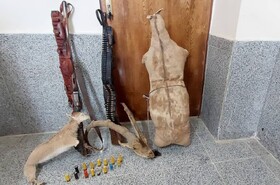 شکارچی متخلف در دام مأموران حفاظت محیط‌ زیست لردگان