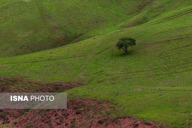 عکس تزئینی است ثبت پنج اثر طبیعی چهارمحال و بختیاری در فهرست آثار ملی