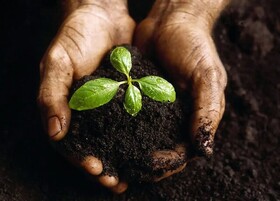 مهر سبز، هم‌افزایی آموزش و محیط‌زیست در مدارس چهارمحال و بختیاری