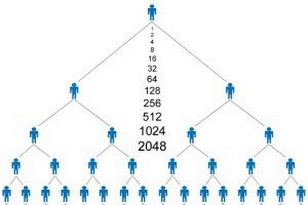 پشت‌صحنه تازه کلاهبرداری‌های هرمی؛ وقتی سودهای خیالی دارایی‌های واقعی را می‌بلعند