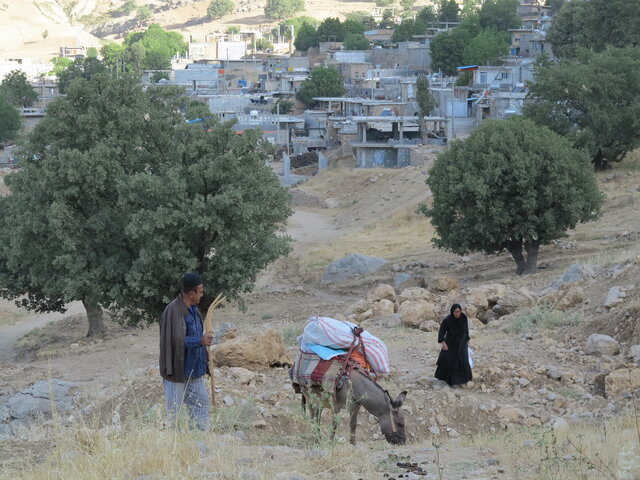 راه‌یابی مستندسازان چهارمحال و بختیاری به بخش مسابقه ملی سینماحقیقت