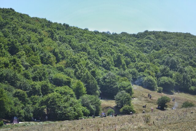 آتش، تبر، فرسایش؛ سهضلعی تهدیدکننده جنگلهای زاگرس