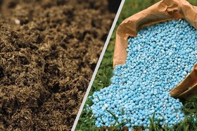 جذب و توزیع بیش از ۲۳ هزار تن کود شیمیایی در چهارمحال و بختیاری 