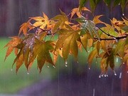 ثبت کمترین میزان بارش کشور در یزد/ تداوم خشکسالی و کاهش ۹۰ درصدی رواناب‌ها