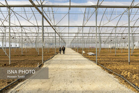 واگذاری ۸ مجتمع کشاورزی در چهارمحال و بختیاری 