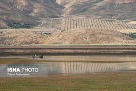 تالاب‌ها؛ آرامش آبی در قلب کوهستان‌های چهارمحال و بختیاری
