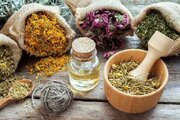 اصول تغذیه‌ای در فصل پاییز و زمستان چیست؟