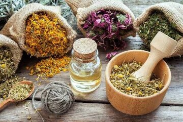 اصول تغذیه‌ای در فصل پاییز و زمستان چیست؟