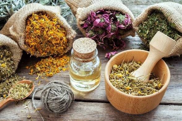 اصول تغذیه‌ای در فصل پاییز و زمستان چیست؟