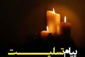 پیام تسلیت استاندار آذربایجان شرقی در پی شهادت خلبان جنگنده میگ ۲۹