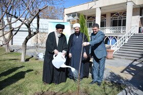 روز درختکاری، فرصتی برای گسترش رفتارهای اثرگذار در حفظ محیط زیست است