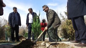 طرح کاشت یک میلیون نهال برای سال ۹۹ در تبریز کلید خورد