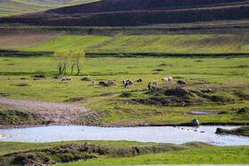 طبیعت بهاری اهر
