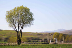 طبیعت بهاری اهر