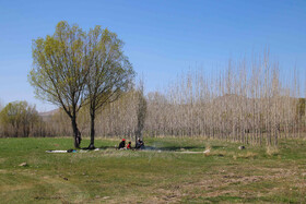 طبیعت بهاری اهر