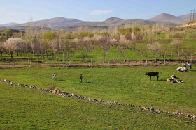 طبیعت بهاری اهر