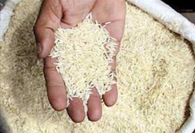 کشف ۲۴ تن برنج قاچاق در تبریز